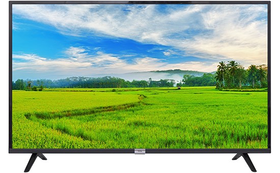 Android Tivi TCL 49 inch L49S6500