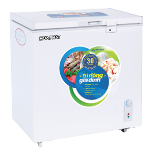 Tủ đông Hòa Phát HCF 336S1N1 / HPF AN6162 (162L)